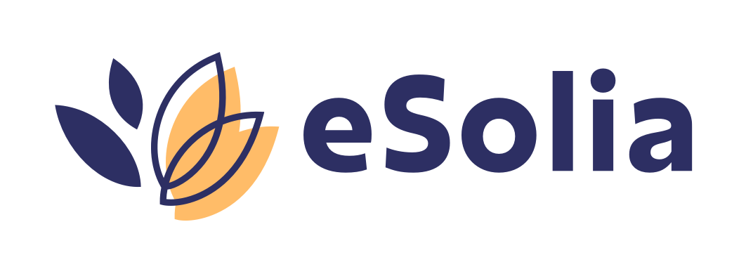 eSolia Inc. Blue and Yellow Logo